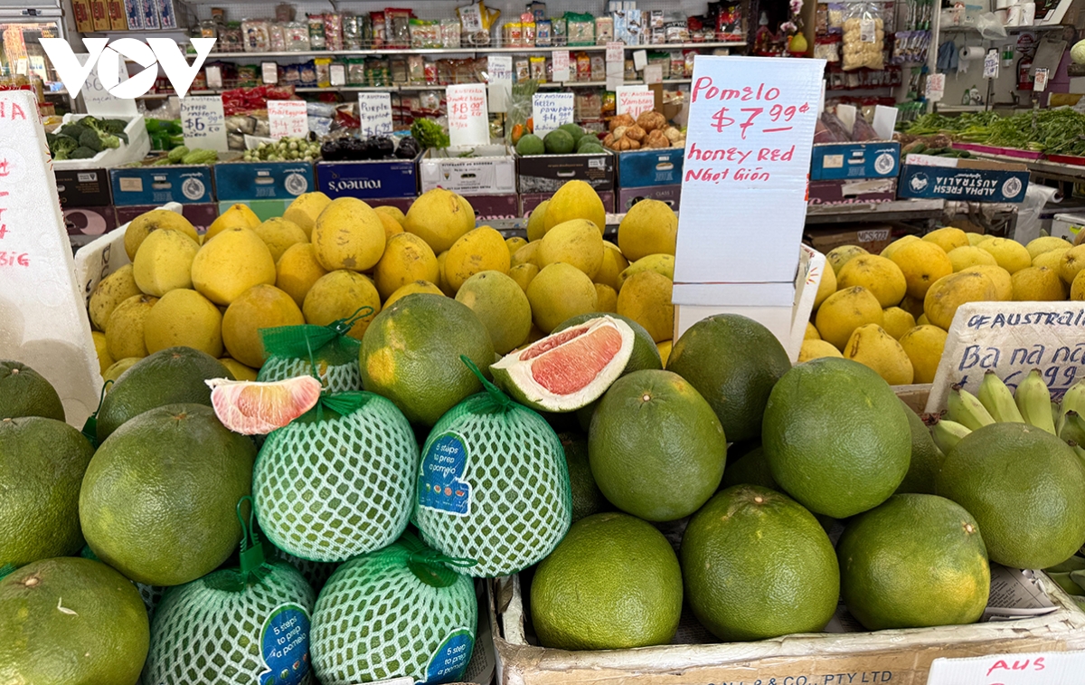Vietnamese green-skin pomelo hits the shelves in Australia